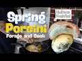Spring Porcini - Forage and Cook Boletus rex-varis