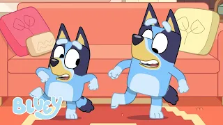 Saisons 1 2 et 3 Full Episode Comp Bluey Francais Chaine Officielle
