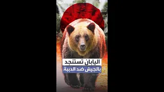 محافظة يابانية تطلب تدخل الجيش بعد تصاعد هجمات الدببة 