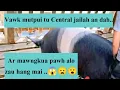 Download Lagu Vawk mutpui tu central jailah dah ani...Ar mawngkua pawh alo zau hang mai...
