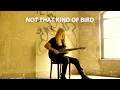 Download Lagu Mattias IA Eklundh - Not That Kind Of Bird