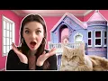 Download Lagu IK STEEL EEN KAT \u0026 MAAK EEN KATTENPALEIS VOOR HEM! - BIBI