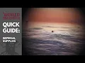 Imperial Supplies in World of Sea Battle Beginners Quick Guide