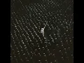 Lioness (Francis Mercier Remix) - Swedish House Mafia, Niki & The Dove & Francis Mercier