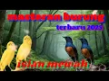 Download Lagu Masteran burung terbaru 2025🐦isiam mewah,suara jernih,mudah ditiru,cocok buat pancingan