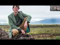 The History Future of Native Irish Woodlands a University College Dublin x Hometree webinar