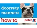 How to Train Your Dog to Sit and Stay at the Door Petco