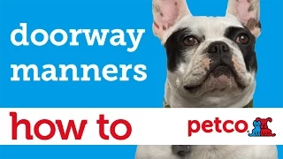 How to Train Your Dog to Sit and Stay at the Door Petco