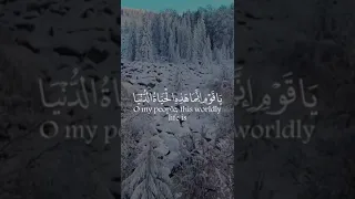 تلاوه لا توصف لفضيله الشيخ محمد صديق المنشاوي حالات واتس اب 