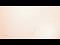 Wilderado - Surfire (2019) [Subtitulada]