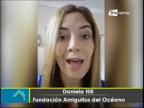 Día mundial del reciclaje ¿Por qué es tan importante reutilizar?