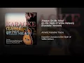 Always On My Mind (In the Style of Willie Nelson) (Karaoke Version)