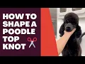 HOW TO SHAPE A POODLE TOP KNOT