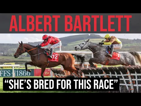 Albert Bartlett Novices’ Hurdle – Cheltenham Festival 2025 Details