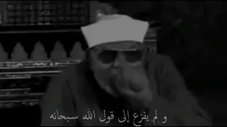 كلمة واحدة تفك الكرب وتزيح الهم من فم الشيخ محمد متولى الشعراوى  مزامير القرآن  دندنها