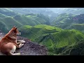 Ben Böhmer - Purple Line