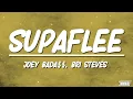 Joey Bada$$, Bri Steves - Supaflee | Slowed + Reverb