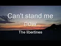 Can't stand me now- The libertines (sub esp/lyrics)