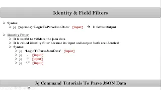 Section 3 Video 2 Identity Field Filters Jq Command To Parse JSON Data VRTechnologies 