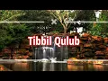 Download Lagu Tibbil Qulub||Sholawat||Koplo Time||Lirik dan Artinya||Musik Koplo Jaipong