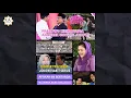 Download Lagu Wowo Send Purple Orchids...!! Identical to the Color of a Widow. What Does It Mean; Iriana Will B...