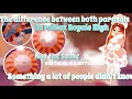 THE DIFFERENCE BETWEEN BOTH PARASOLS IN ROYALE HIGH YES THERE IS A DIFFERENCE