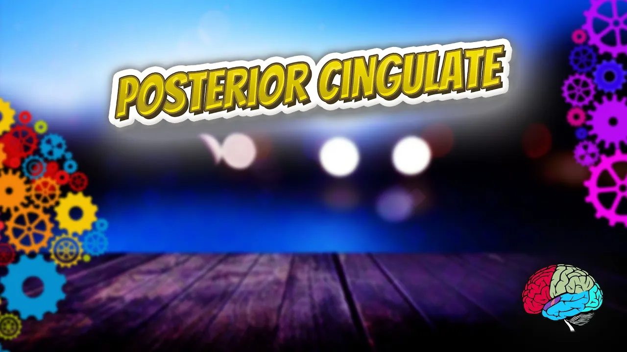 Posterior cingulate - Know It ALL 🔊✅