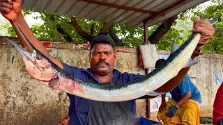 Kasimedu speed selvam oosi kola fish cutting #kasimeduselvam #bigfish #youtube