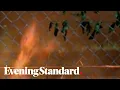 Atlanta protests Demonstrators set fire to Wendy s after fatal police shooting is caught on camera