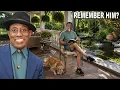 Inside Wesley Snipes Florida Estate His Private Life Martial Arts Lifestyle Blade Film Legend
