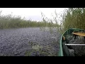 Download Lagu A Rainy Fall - 3 days solo canoeing trip under Dutch skies