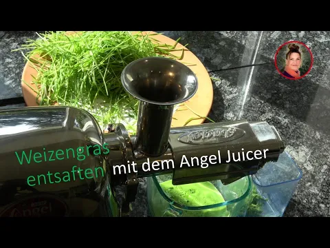 Weizengras mit dem Angel Juicer entsaften