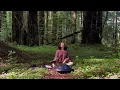 Handpan Music in the Tallest trees on Earth 🌲 Organic Downtempo Session | Relaxing Music | Redwoods