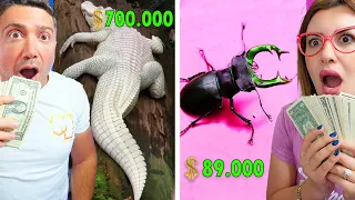 اغلى الحيوانات  في العالم دندنها