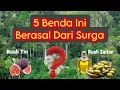 Benarkah 5 Benda Di Bumi Ini Berasal Dari Surga