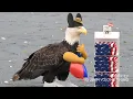Download Lagu America, Fuck Yeah!