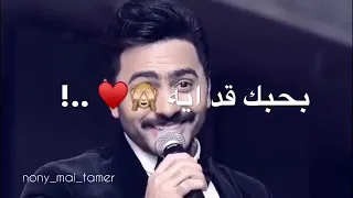 لو عشت اوصف طول حياتي بحبك قد ايه دندنها
