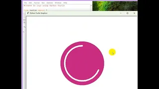You didn t know Python can draw LG Logo