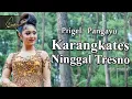 Download Lagu Prigel Pangayu - Karangkates Ninggal Tresno ( Official Music Video )