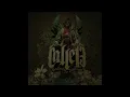 Calle 13 - Cumbia de los Aburridos (Cover Audio Video)
