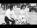 Download Lagu 20 Năm Gặp Lại – Kỷ Niệm Thời Áo Trắng | Mái Trường, Tình Bạn, Tuổi Thơ