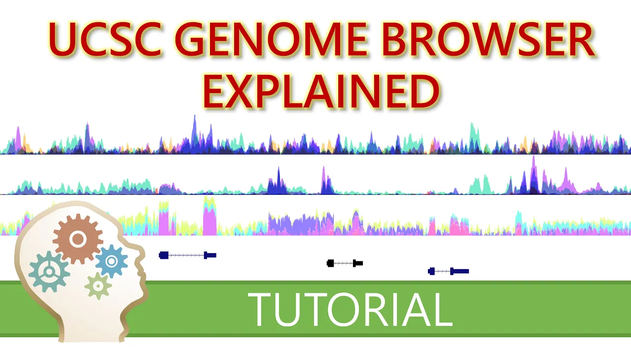 GET STARTED WITH THE UCSC GENOME BROWSER - What you need to know