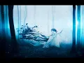 William Orbit - Barbers Adagio For Strings (HQ sound) ( Ferry Corsten Remix)
