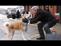 Download Lagu Alan Walker - The True Friend | Hachiko (Official Video)