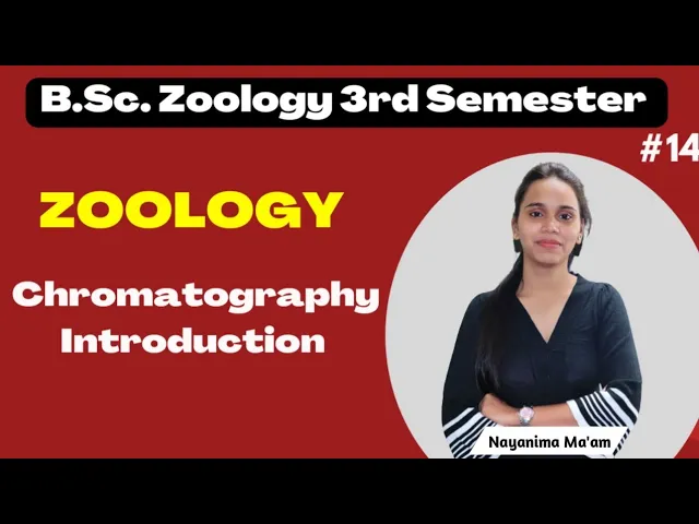 Chromatography Introduction | B.Sc. Zoology 3rd Semester | Nayanima Ma'am |