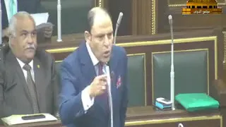 النائب رياض عبدالستار يوجة كلمة نارية فى مجلس النواب المصرى 