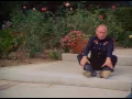 Download Lagu Sweet Justice (1992) Frank Gorshin