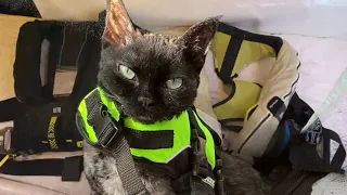 EP 25 Building storage and first sail of the year   SD 480p