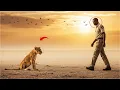 Download Lagu Crying Cub Refused to Leave the Man — Then Something Miraculous Happened