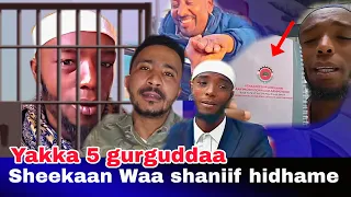 Sheekaan Roobee Waa Shan Sababa Balleessef Hidhame Jedhan Maalfaadha 